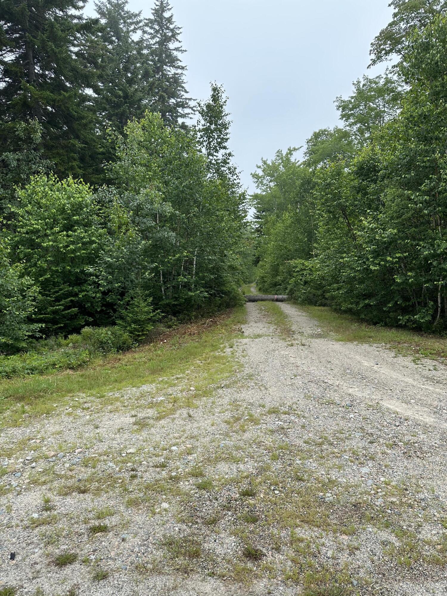 Lot 44 Estates Road Steuben, ME 04680 - Photo 3 of 8 IMG_7668