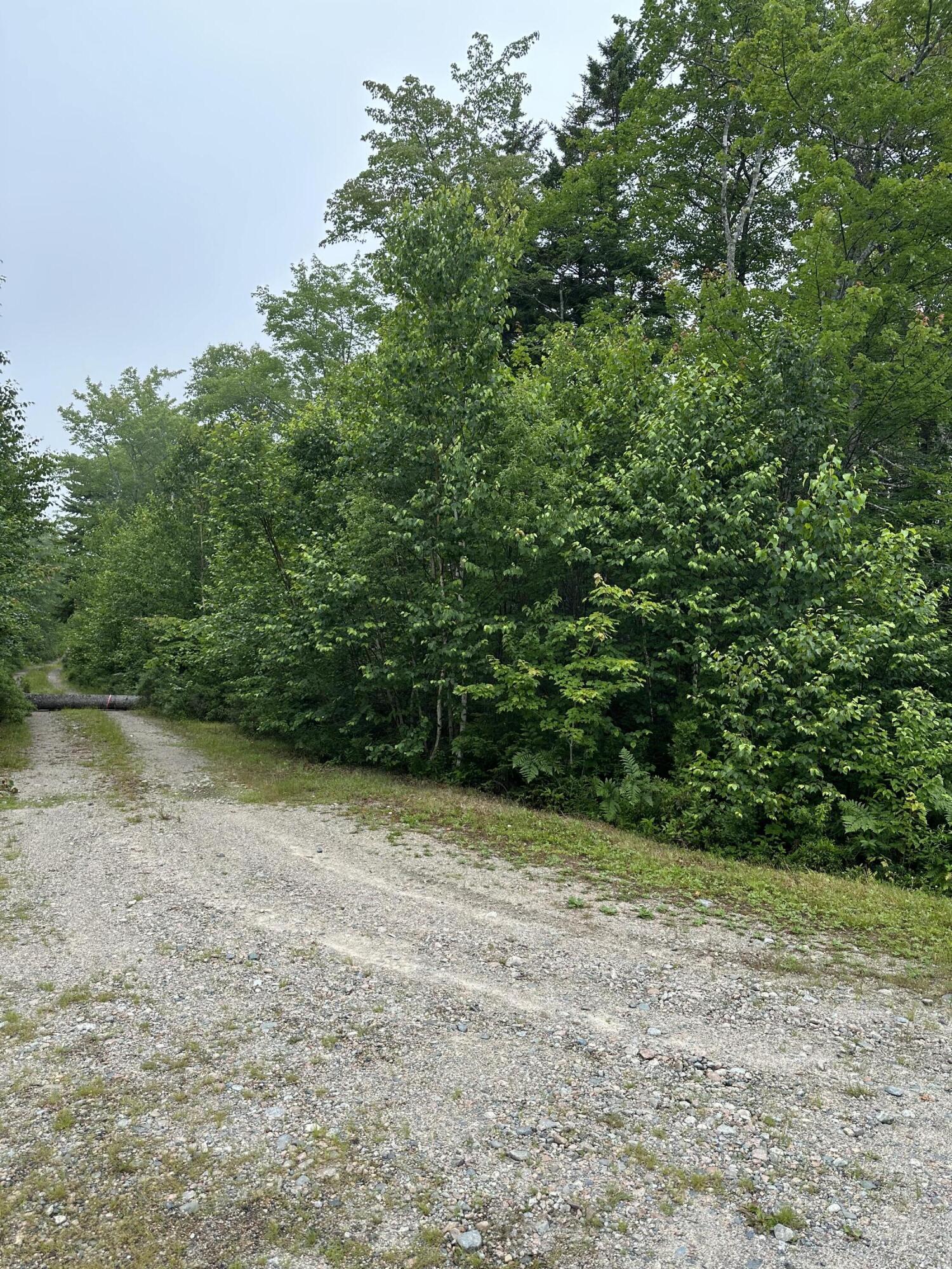 Lot 44 Estates Road Steuben, ME 04680 - Photo 4 of 8 IMG_7669