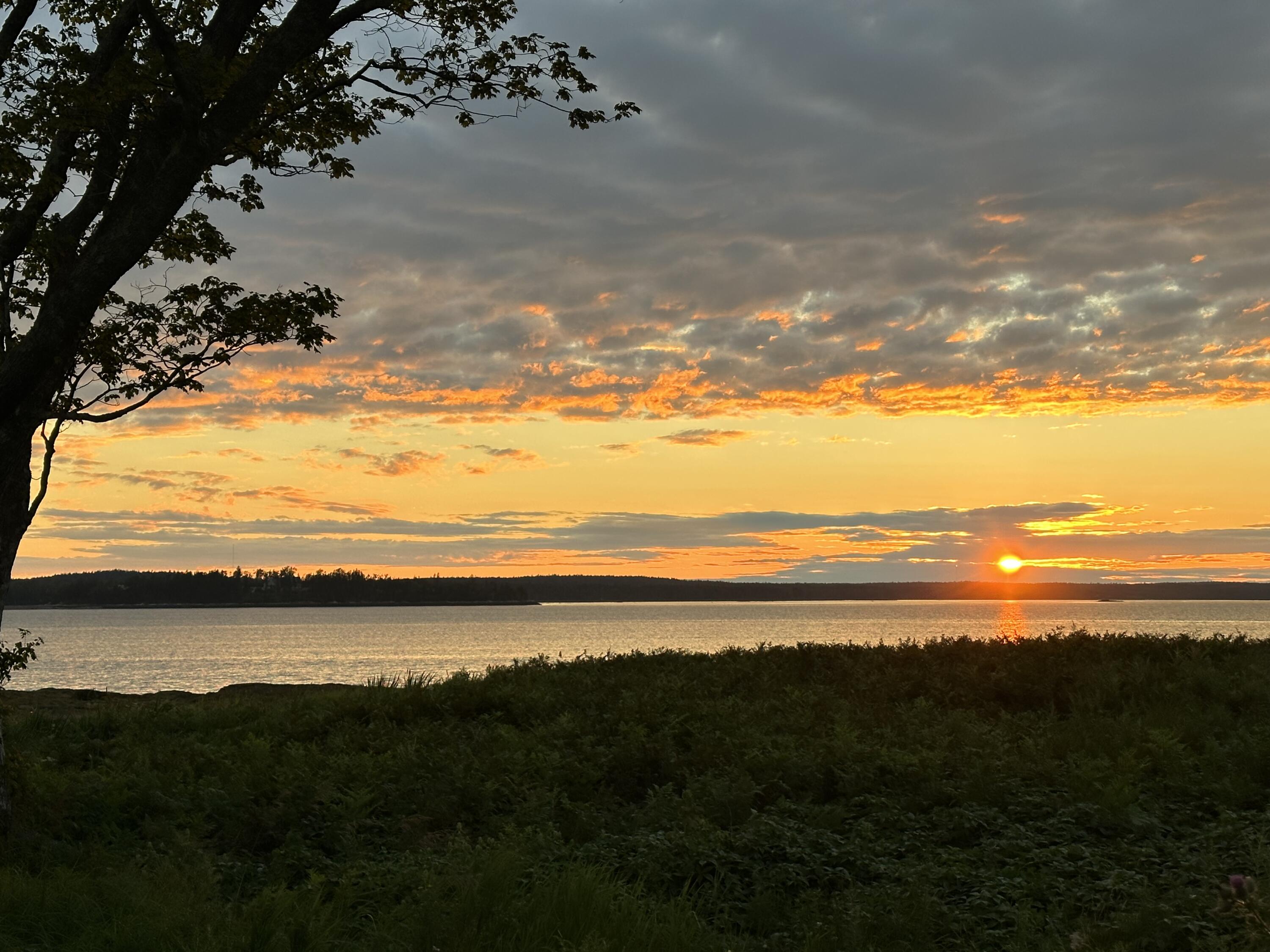 Lot 44 Estates Road Steuben, ME 04680 - Photo 7 of 8 IMG_7976