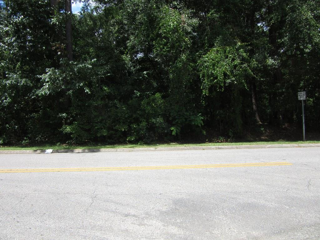 0 Rocky Branch Road Dothan, AL 36303 - Photo 1 of 5