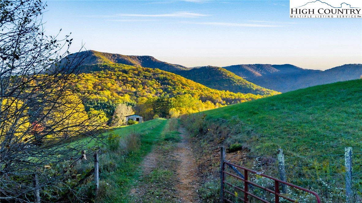343 Saddle Gap Road West Jefferson, NC 28694 - Photo 32 of 39