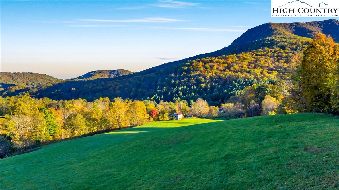 343 Saddle Gap Road West Jefferson, NC 28694 - Photo 37 of 39