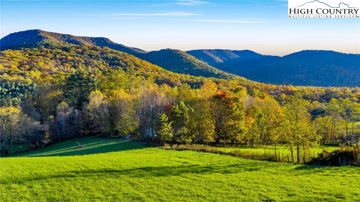 343 Saddle Gap Road West Jefferson, NC 28694 - Photo 6 of 39