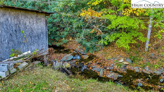 a view of a tree with a tree