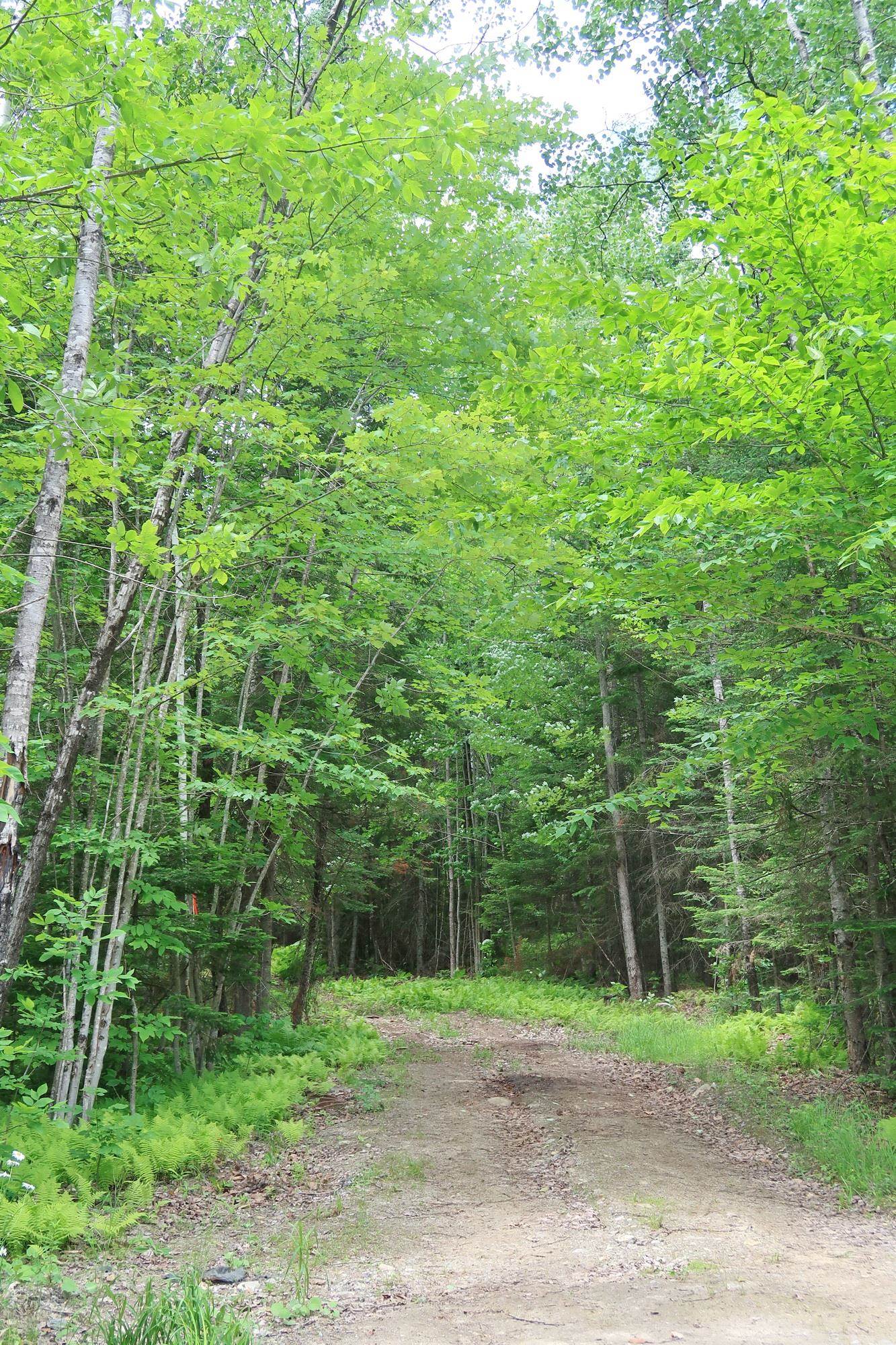 2175 Manns Hill Road Littleton, NH 03561 - Photo 25 of 36 Gallery Image 25