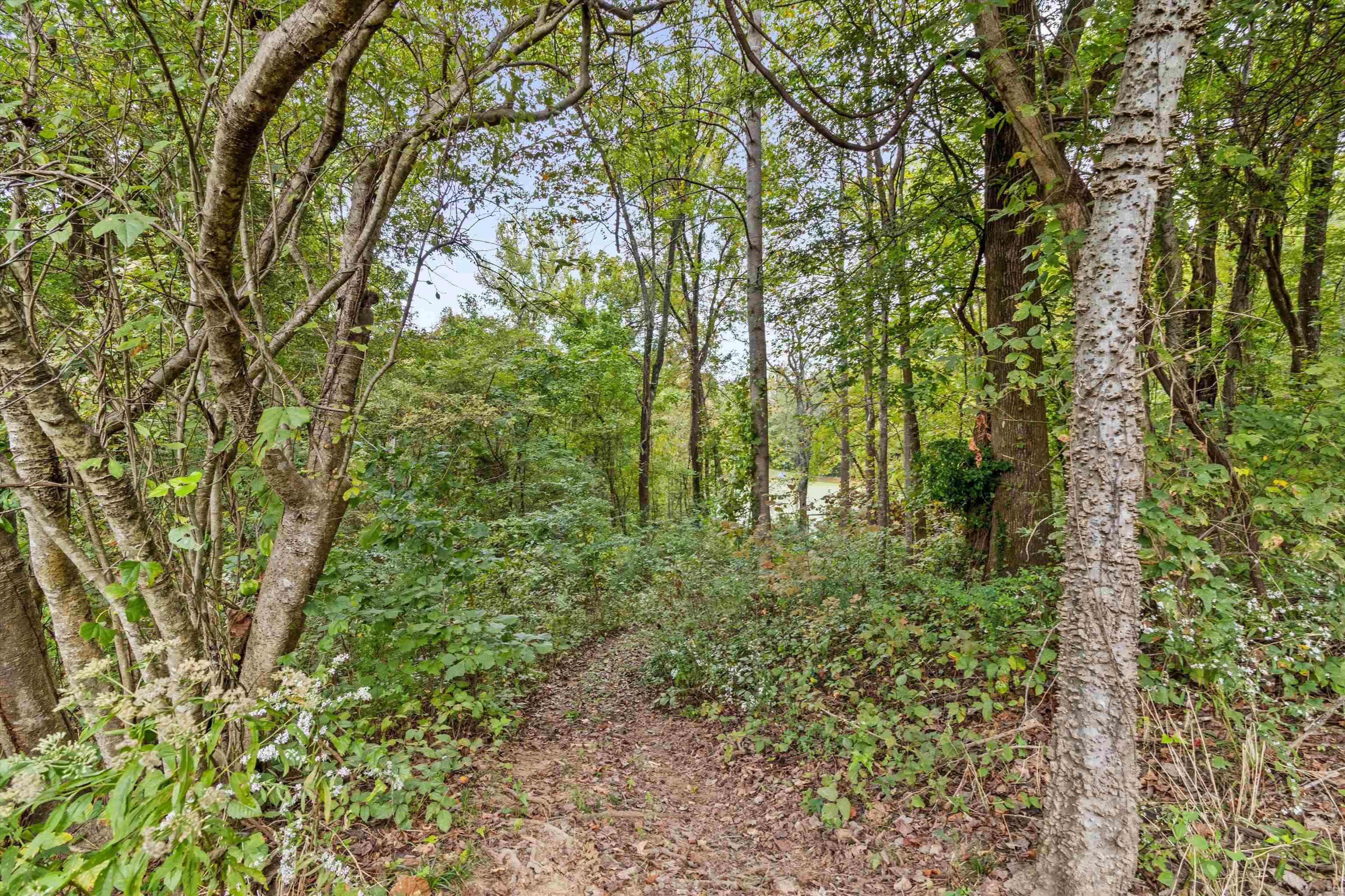 1144 Locke Cuba Road Millington, TN 38053 - Photo 22 of 40 Gallery Image 22