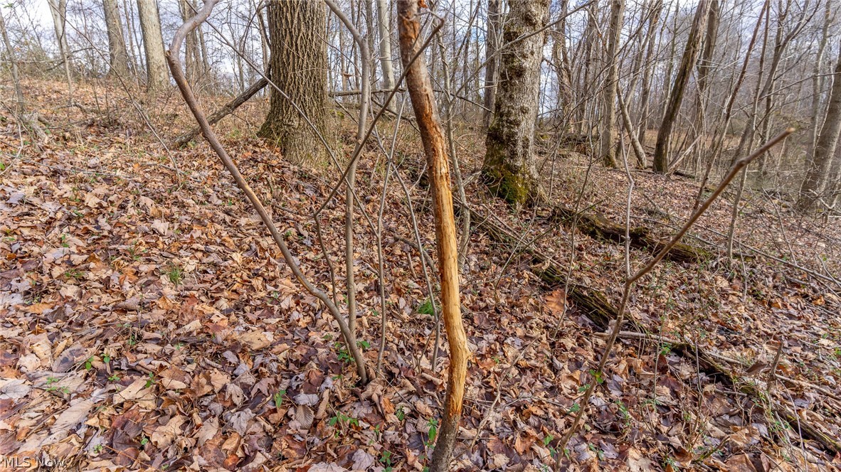 0 Leith Run Road New Matamoras, OH 45767 - Photo 15 of 28 Gallery Image 15