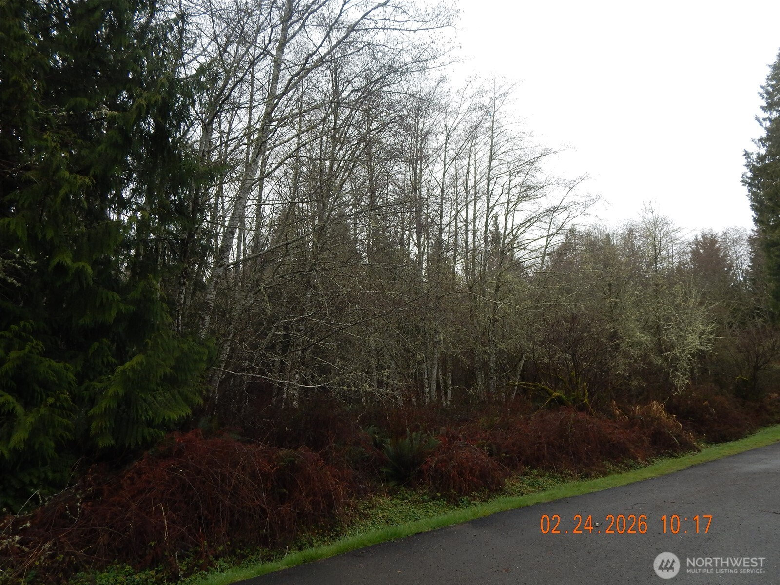 9999 Farrington Road Port Angeles, WA 98363 - Photo 12 of 21 a view of outdoor space and yard