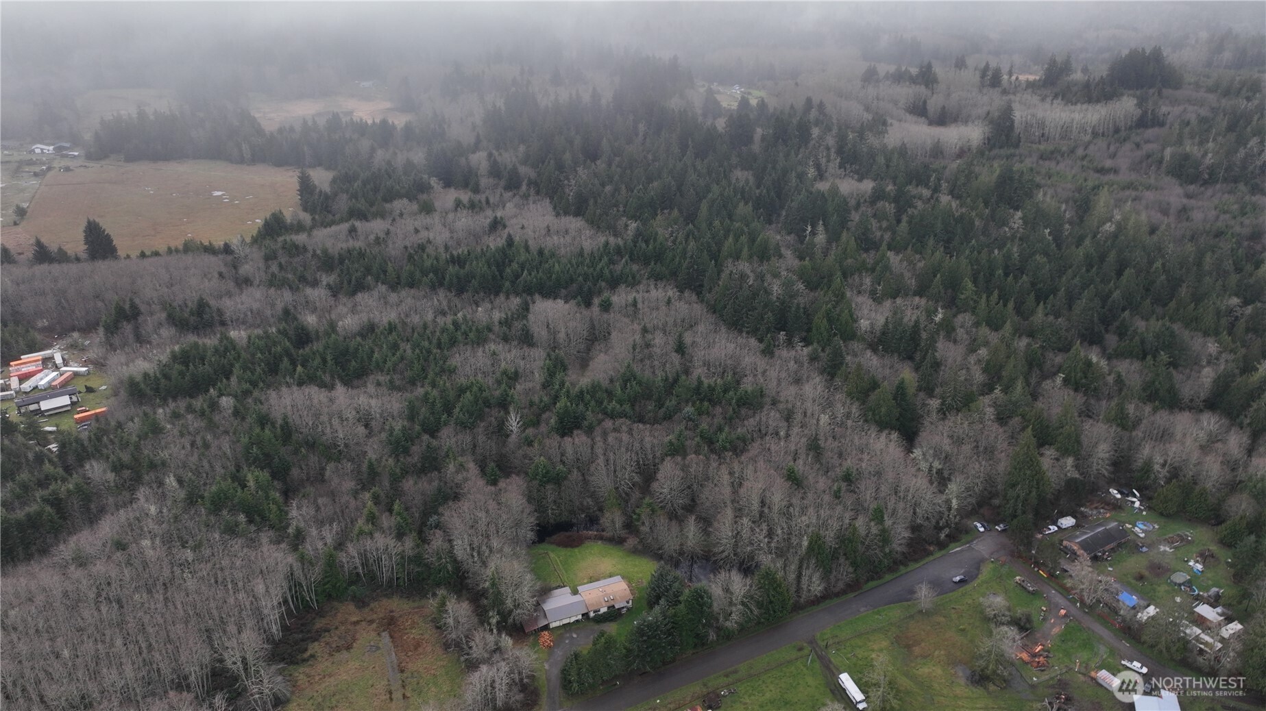9999 Farrington Road Port Angeles, WA 98363 - Photo 18 of 21 a view of a forest with a yard