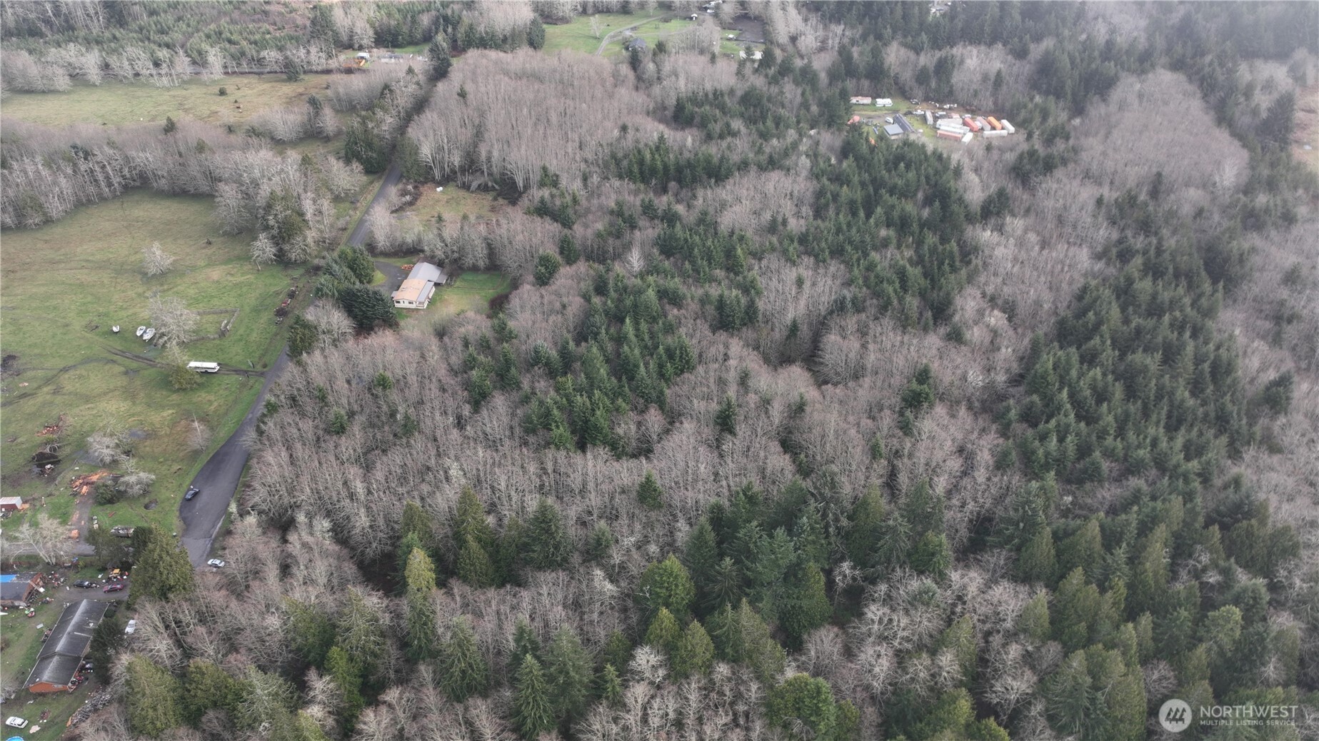 9999 Farrington Road Port Angeles, WA 98363 - Photo 19 of 21 a view of a forest