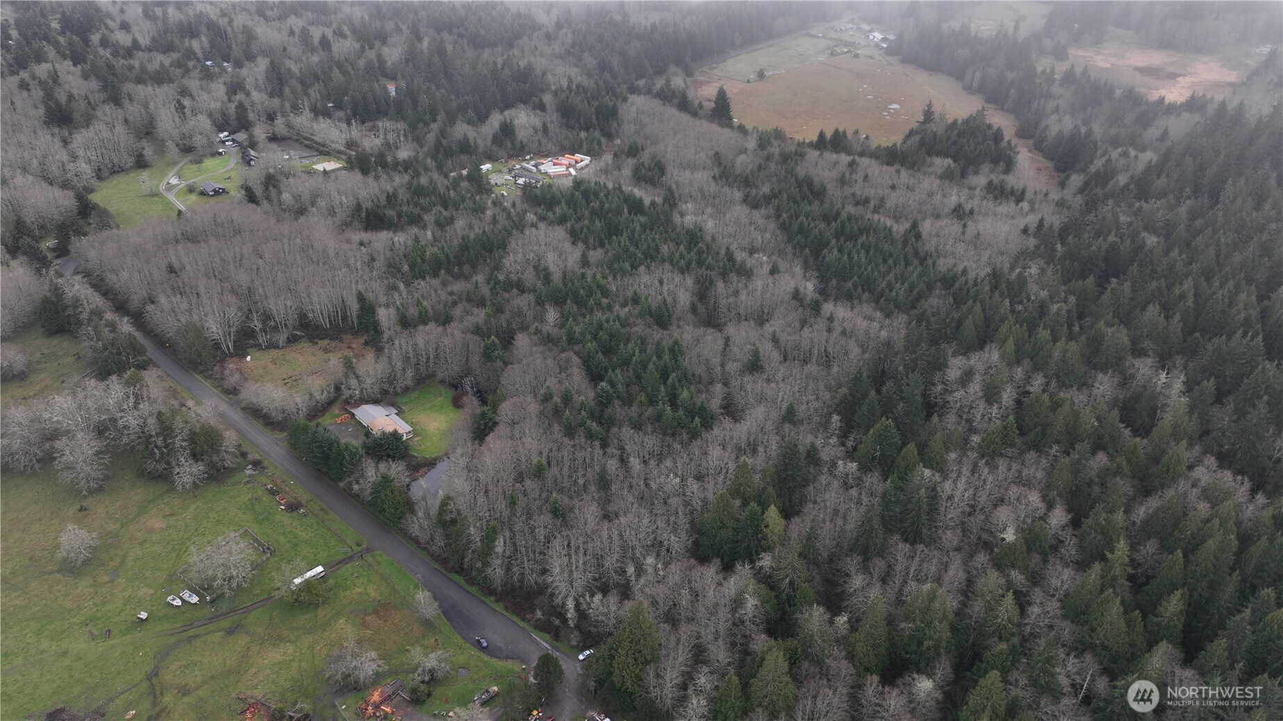9999 Farrington Road Port Angeles, WA 98363 - Photo 2 of 21 a view of a forest with a street