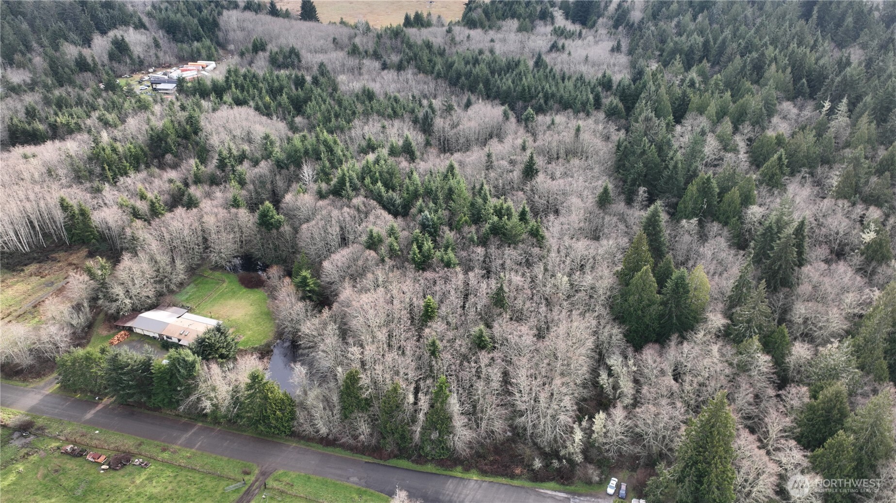 9999 Farrington Road Port Angeles, WA 98363 - Photo 21 of 21 a view of a yard
