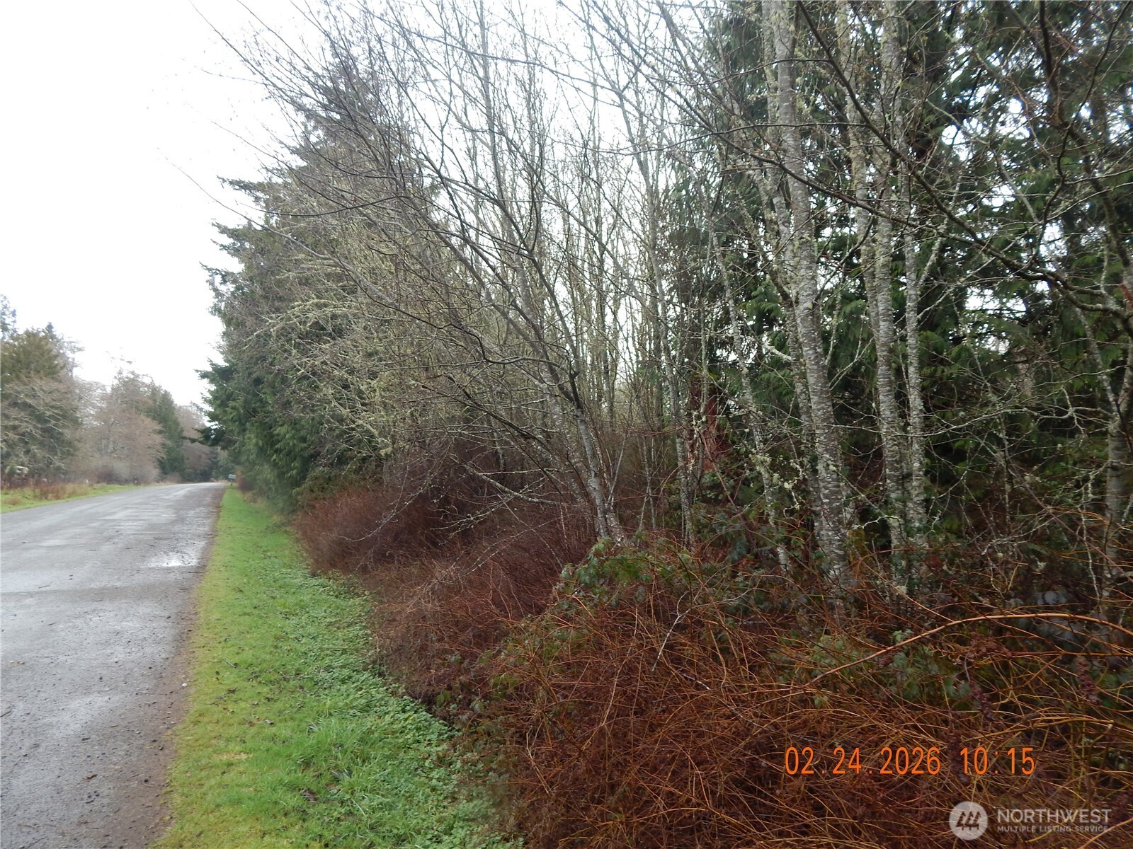 9999 Farrington Road Port Angeles, WA 98363 - Photo 6 of 21 a view of a yard