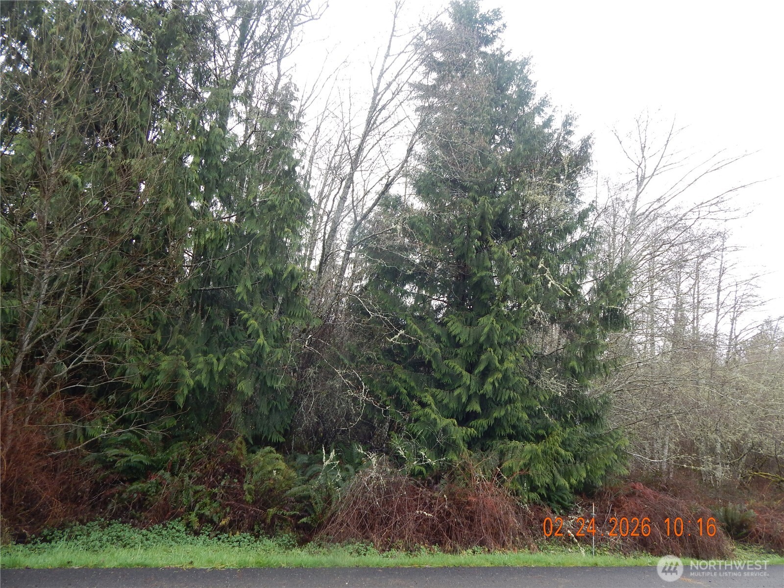 9999 Farrington Road Port Angeles, WA 98363 - Photo 9 of 21 a view of a yard
