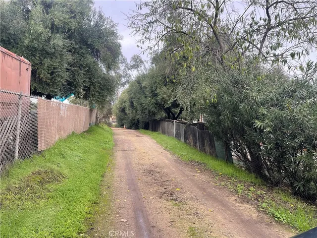a view of a yard with plants and a large tree