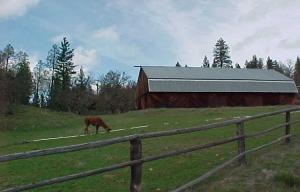 Summit Creek Road Hayfork, CA 96041 - Photo 4 of 7 Barn