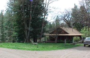 Summit Creek Road Hayfork, CA 96041 - Photo 7 of 7 RURLRES