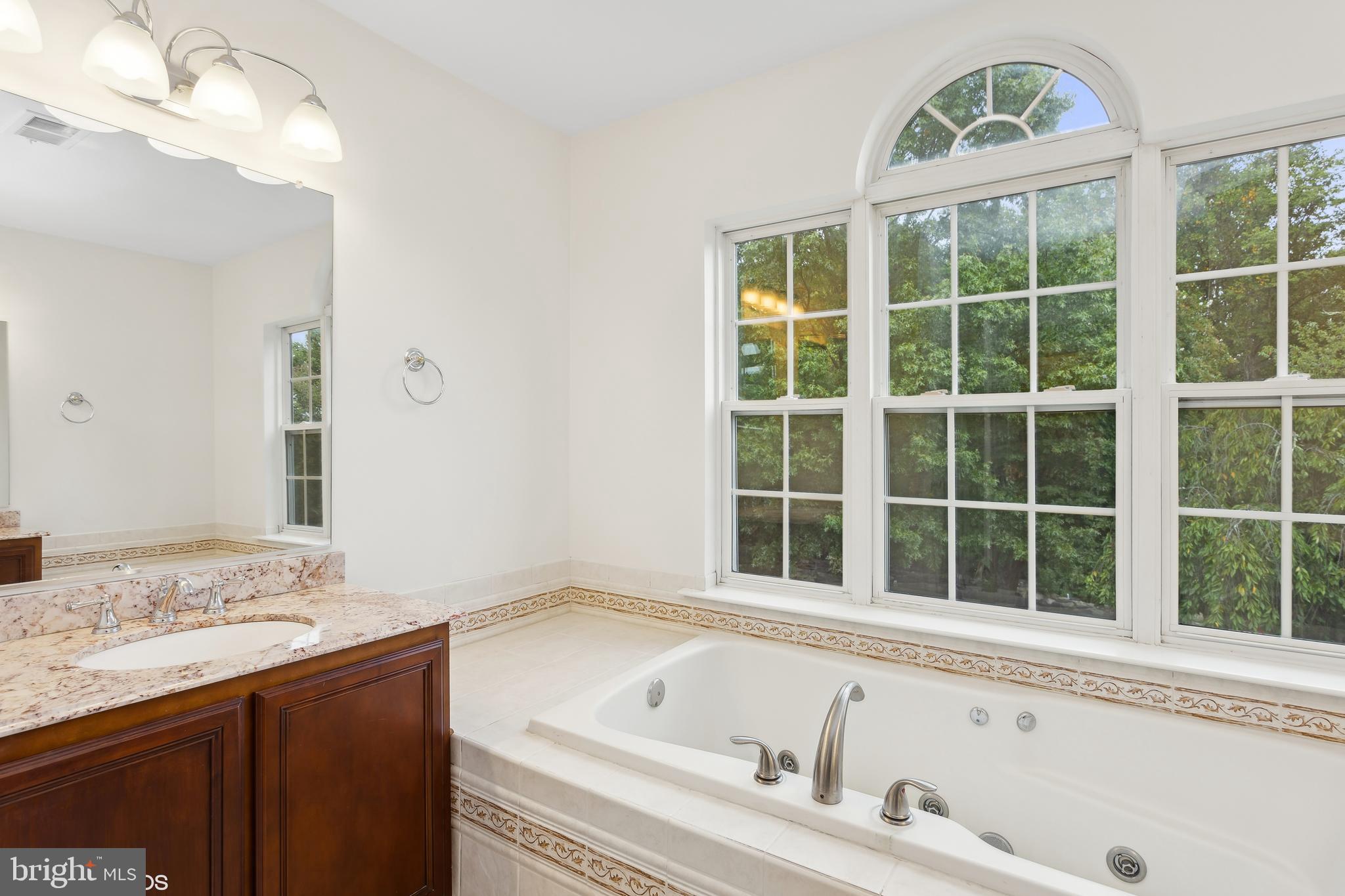 818 Hoods Mill Road Cooksville, MD 21723 - Photo 47 of 108 a bathroom with a tub a sink and a window