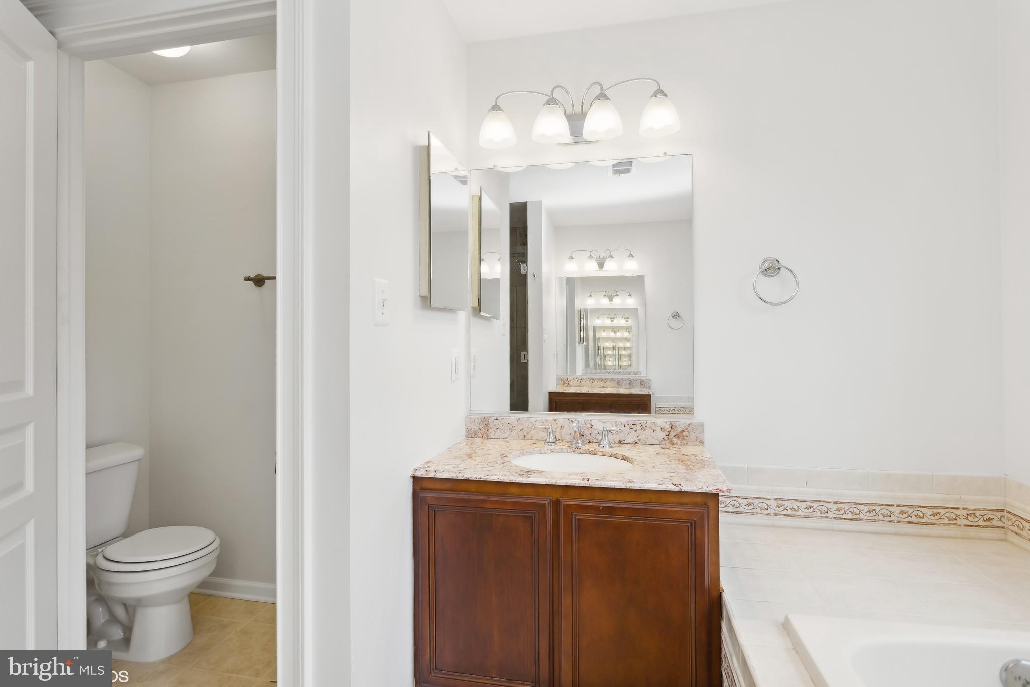 818 Hoods Mill Road Cooksville, MD 21723 - Photo 50 of 108 a bathroom with a granite countertop sink a toilet and a mirror