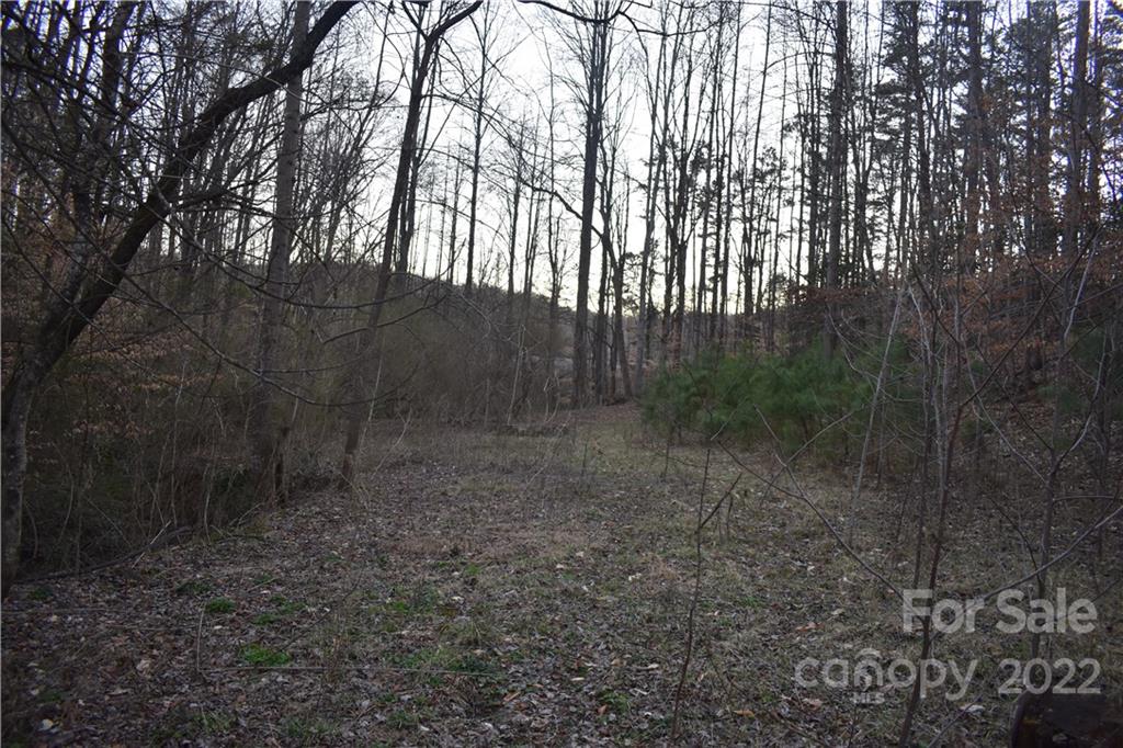 239 Poteat Road Marion, NC 28752 - Photo 45 of 48 Gallery Image 45