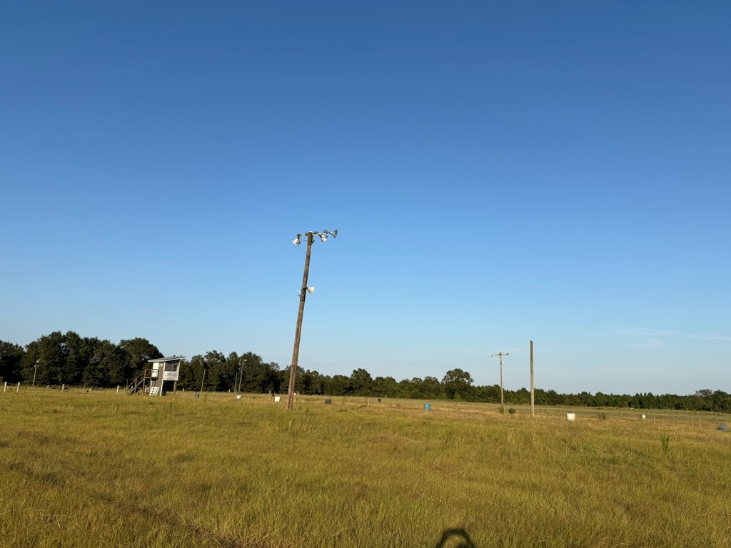 0 County Road 262 Abbeville, AL 36310 - Photo 3 of 10