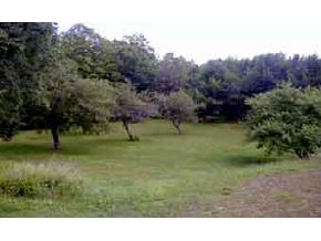 74 Eastern Corner Road Campton, NH 03223 - Photo 3 of 3 Gallery Image 3
