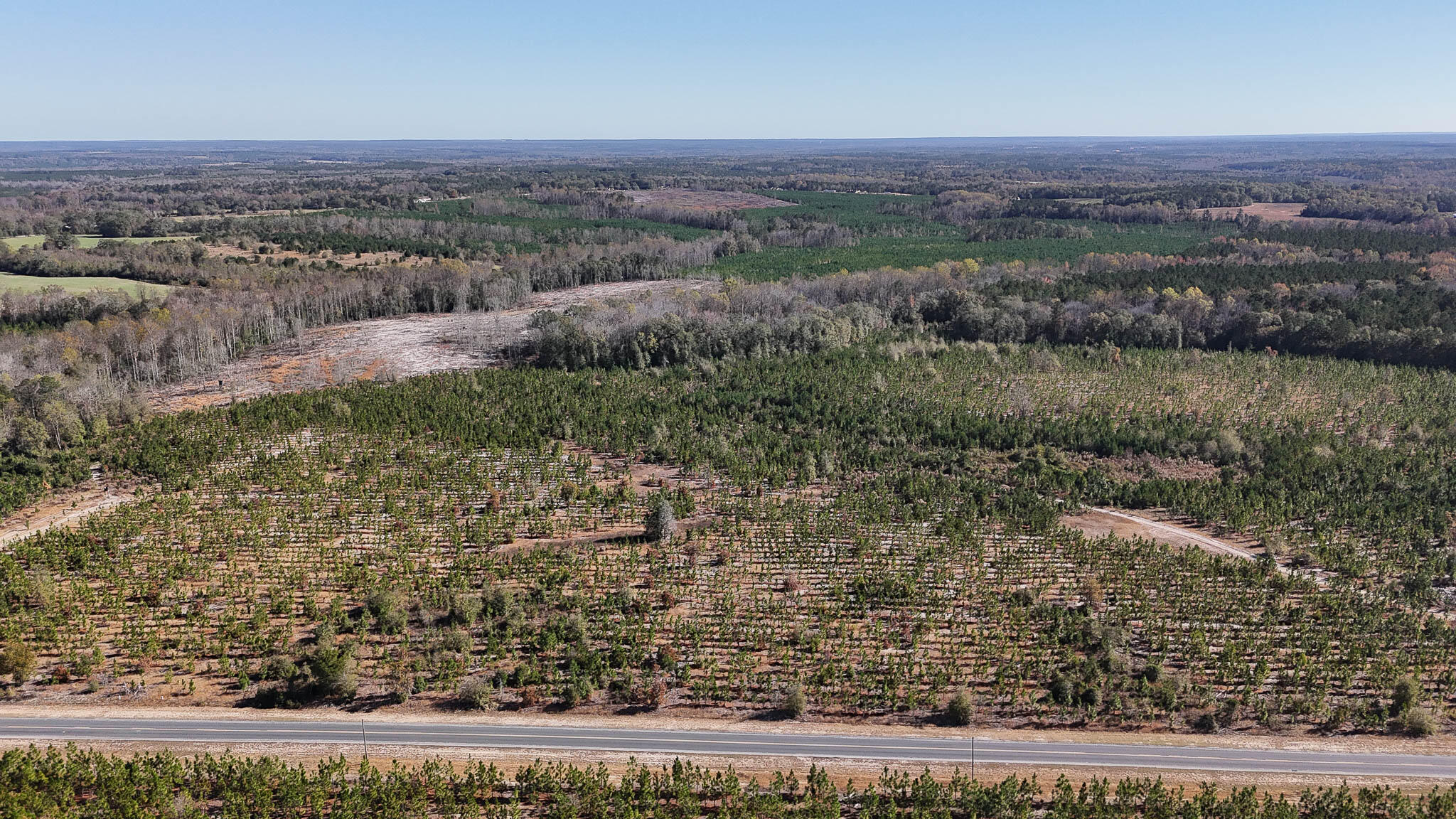 Mt Pisgah Road C SC Land for Sale-08