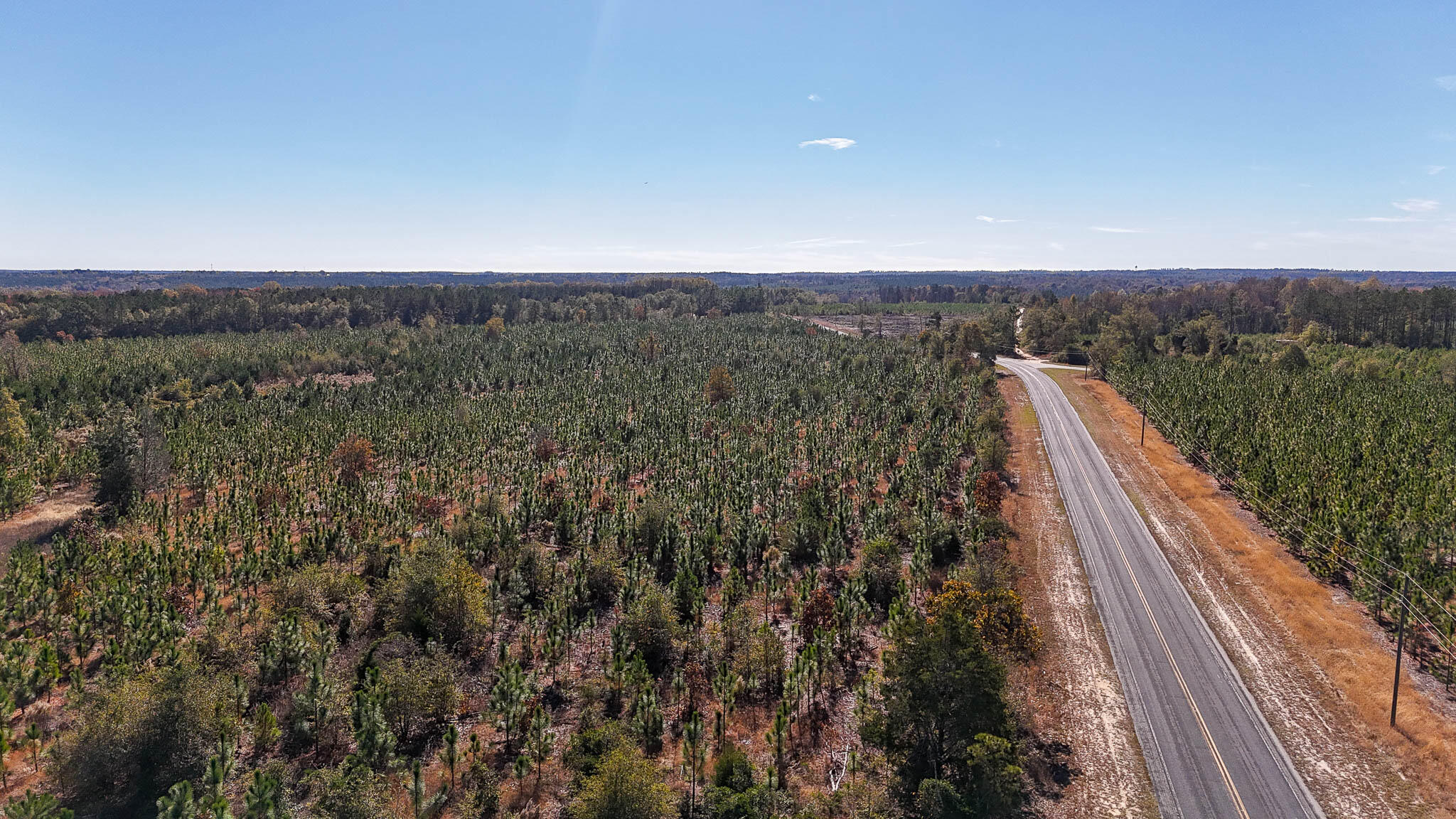 Mt Pisgah Road C SC Land for Sale-09
