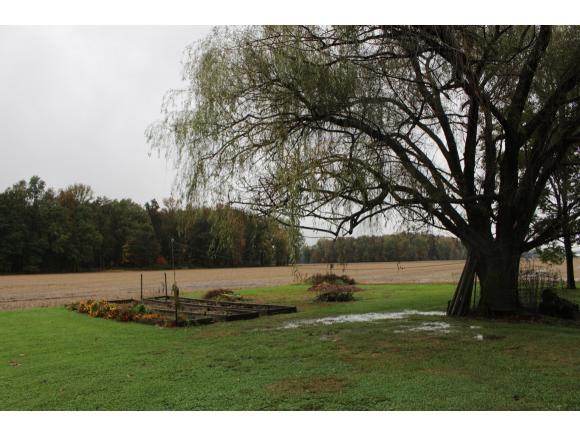 13247 Bear Branch Road Bennington, IN 47011 - Photo 9 of 24