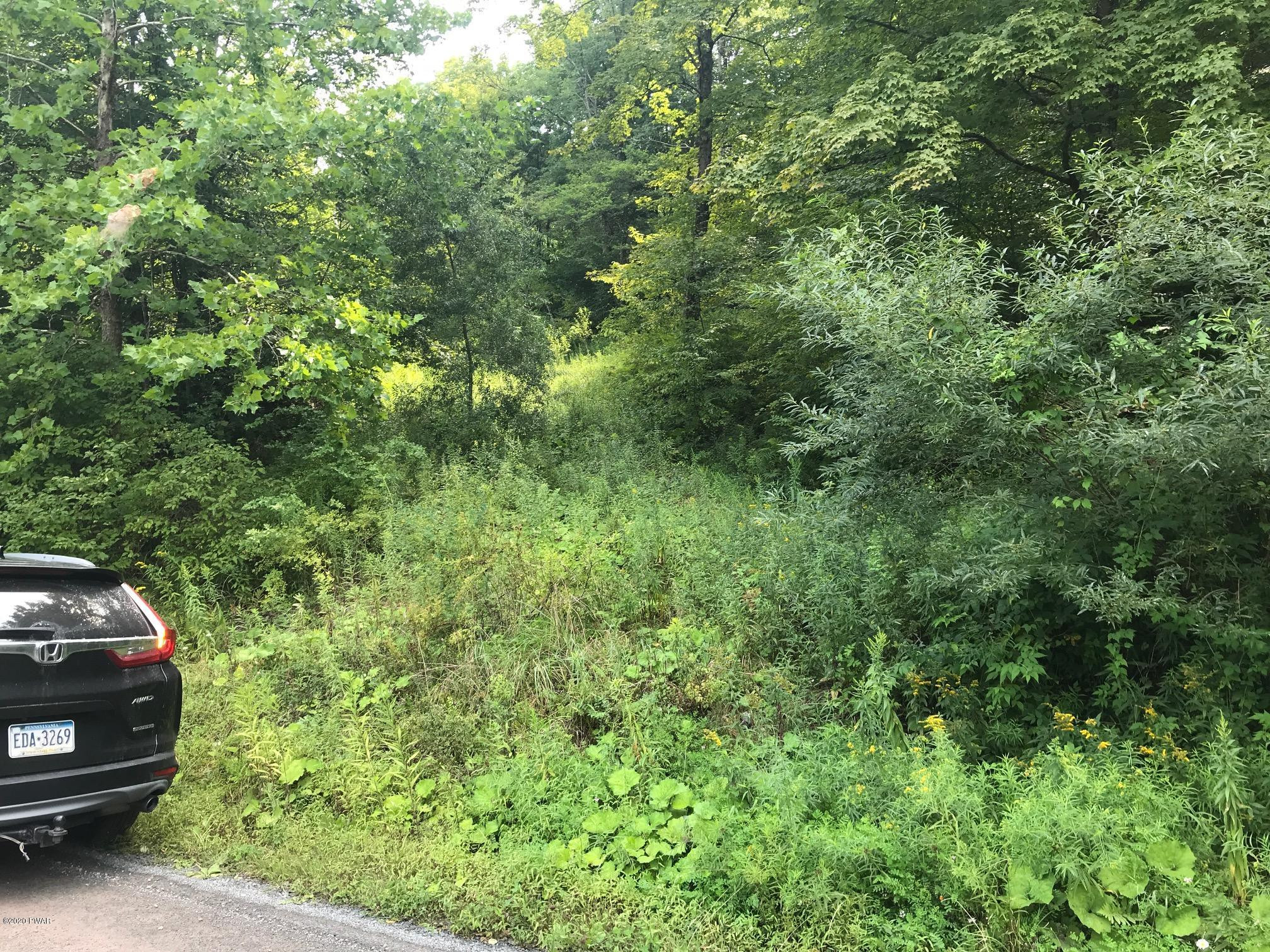 Creek Road Equinunk, PA 18417 - Photo 2 of 9