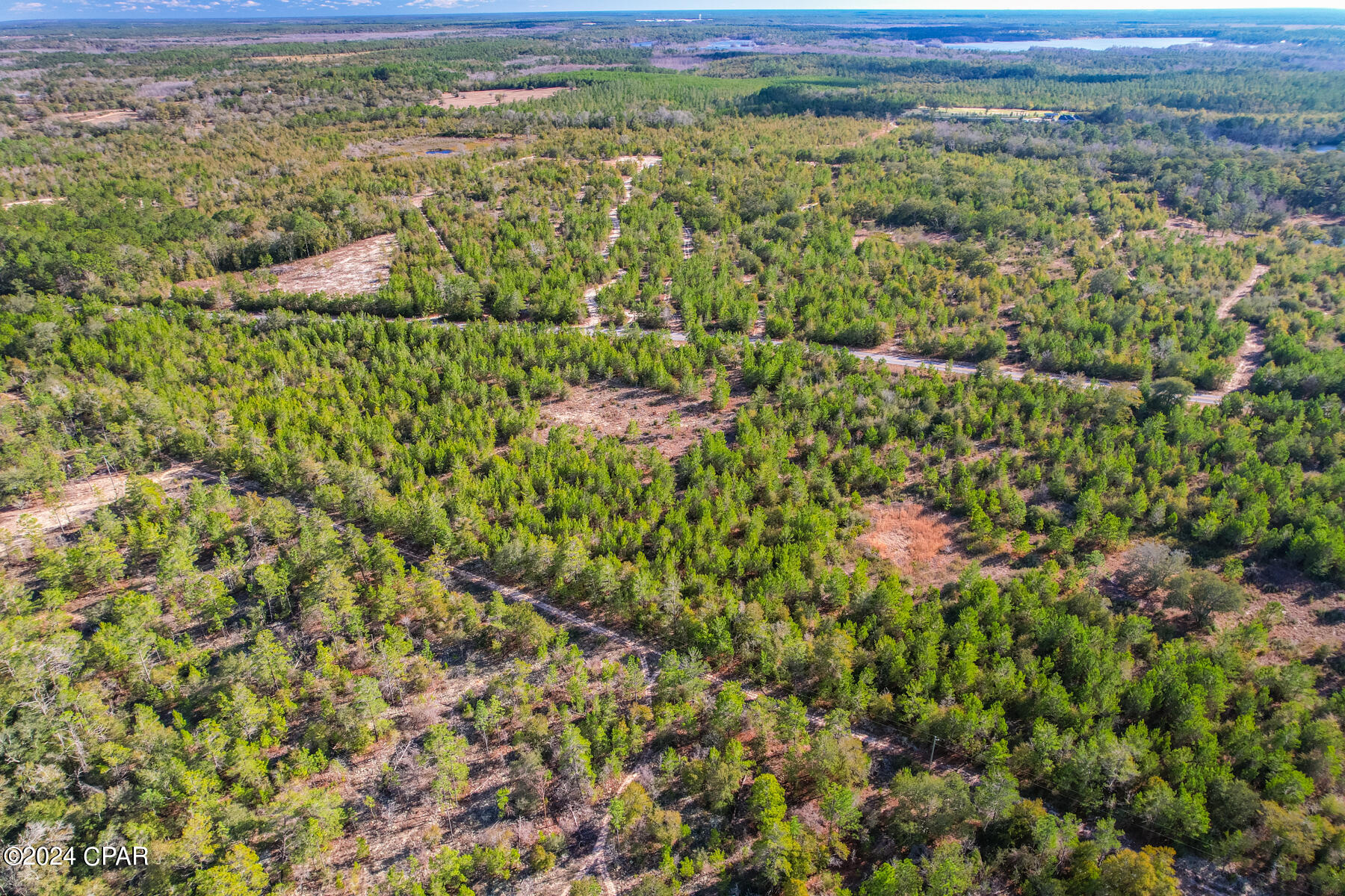 Xx Holmes Valley Road Vernon, FL 32462 - Photo 8 of 22 Gallery Image 8
