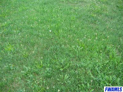 6616 Hoagland Road Hoagland, IN 46816 - Photo 2 of 2 Gallery Image 2
