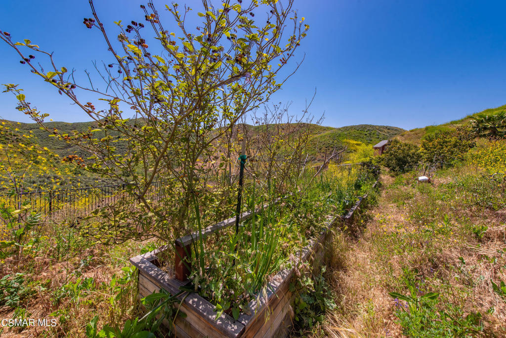 2462 Lost Canyons Drive Simi Valley, CA 93065 - Photo 45 of 50 a view of a field with a tree
