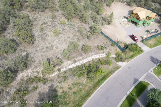 a view of a yard with plants