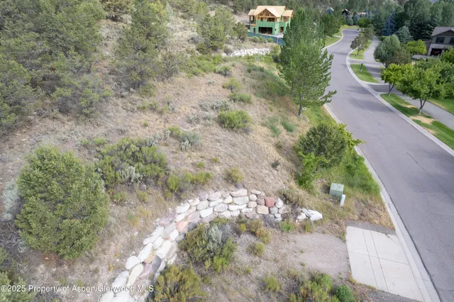 a view of a pathway with a yard