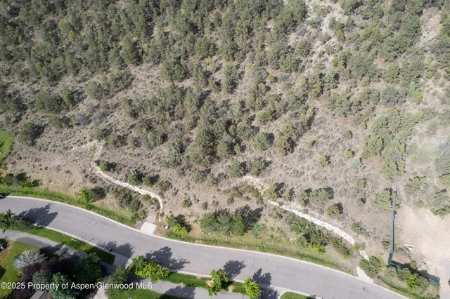 a view of a yard with potted plants