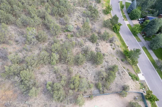 a view of a yard with trees