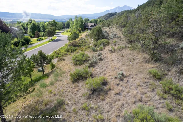 a view of a pathway with a yard