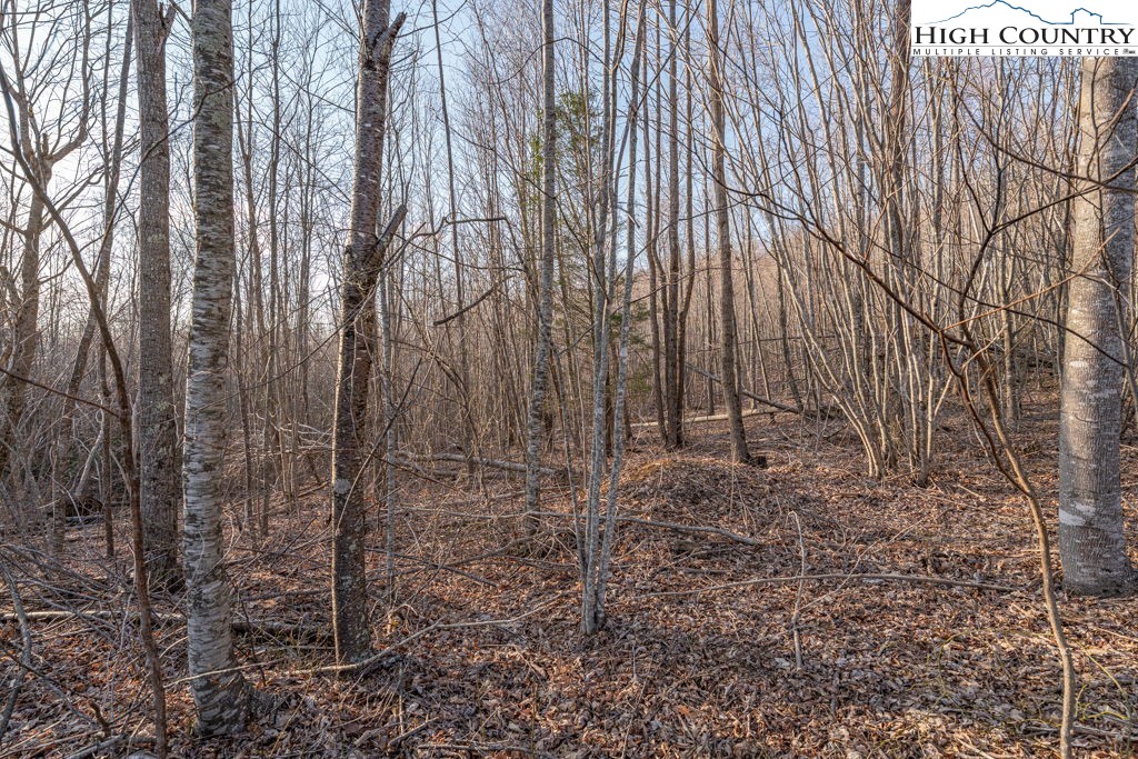 105 B Beaver Dam Road Elk Park, NC 28622 - Photo 5 of 31