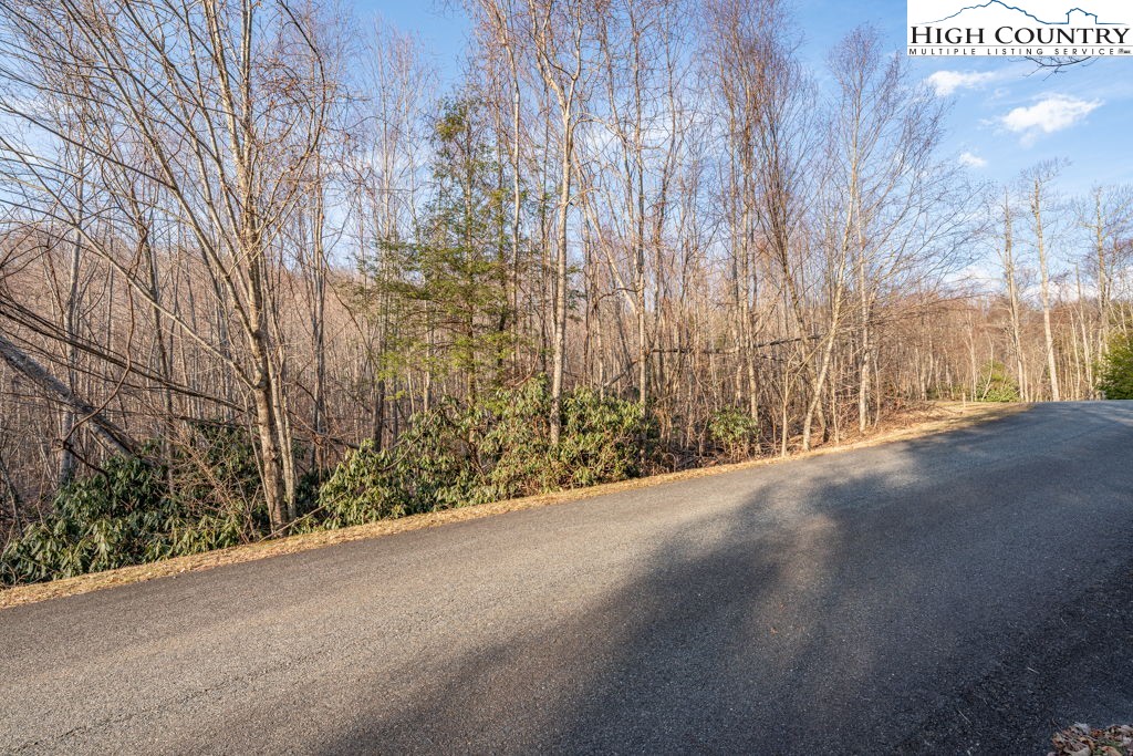 105 B Beaver Dam Road Elk Park, NC 28622 - Photo 6 of 31