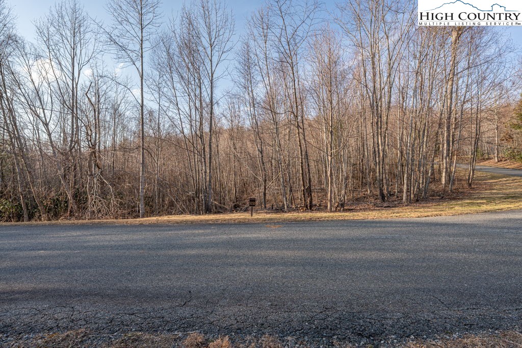 105 B Beaver Dam Road Elk Park, NC 28622 - Photo 7 of 31 a view of a tall building with trees in the background