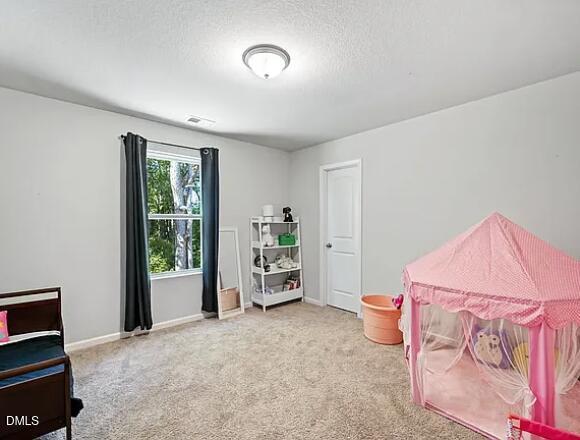 336 Rustling Way Zebulon, NC 27597 - Photo 26 of 28