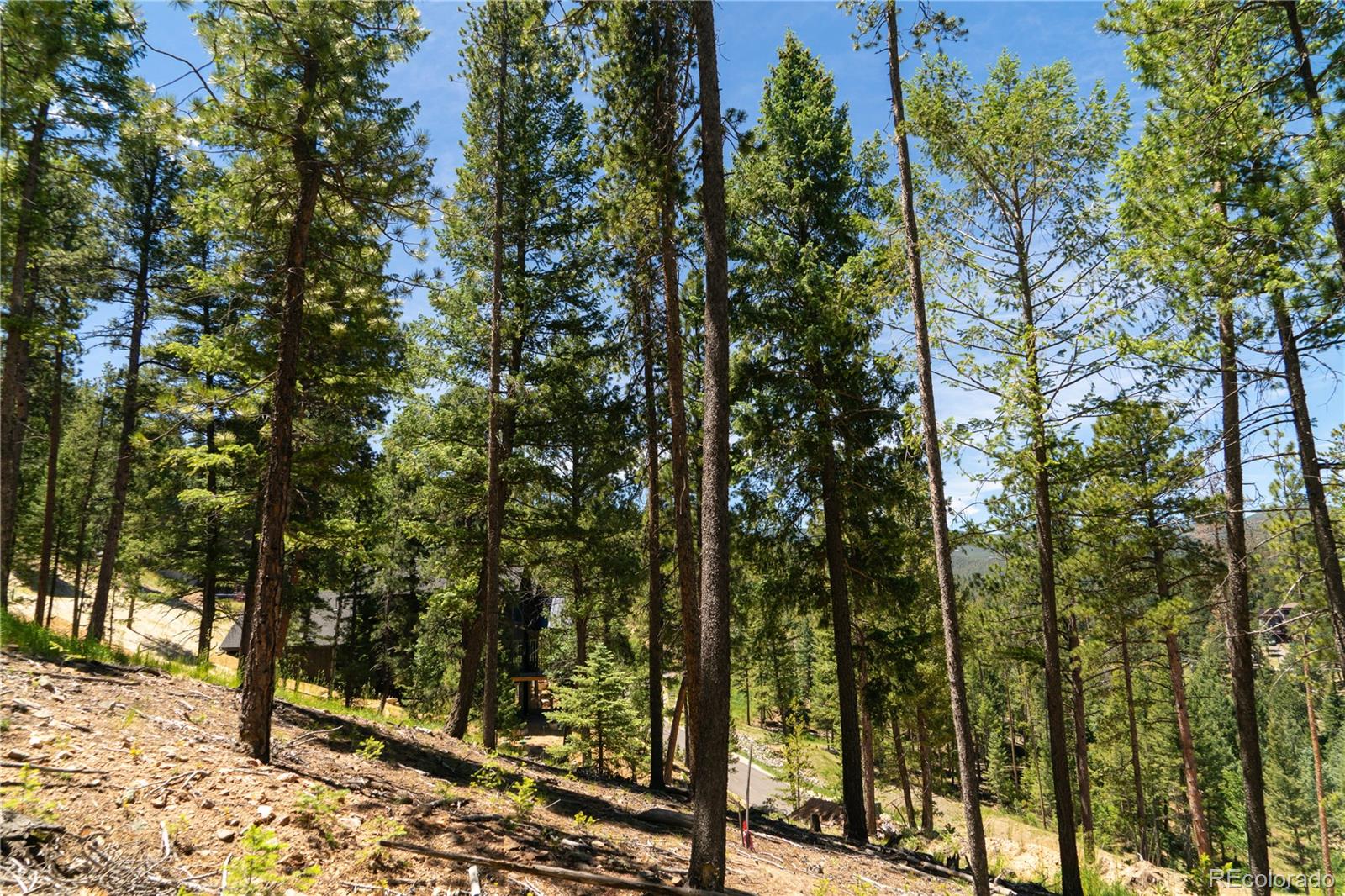 6814 Lynx Lair Road Evergreen, CO 80439 - Photo 17 of 19