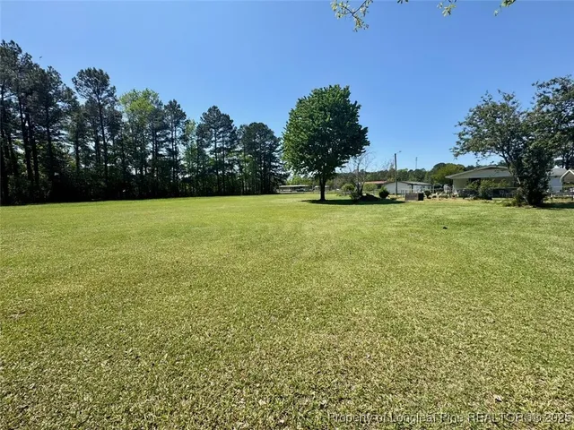 a view of a field with an trees