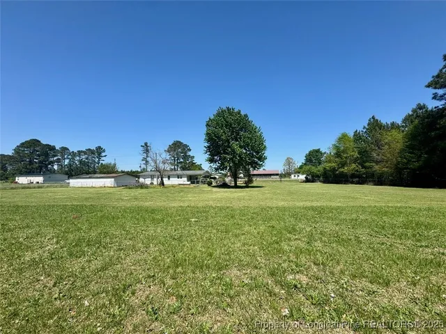 a view of field with tall trees