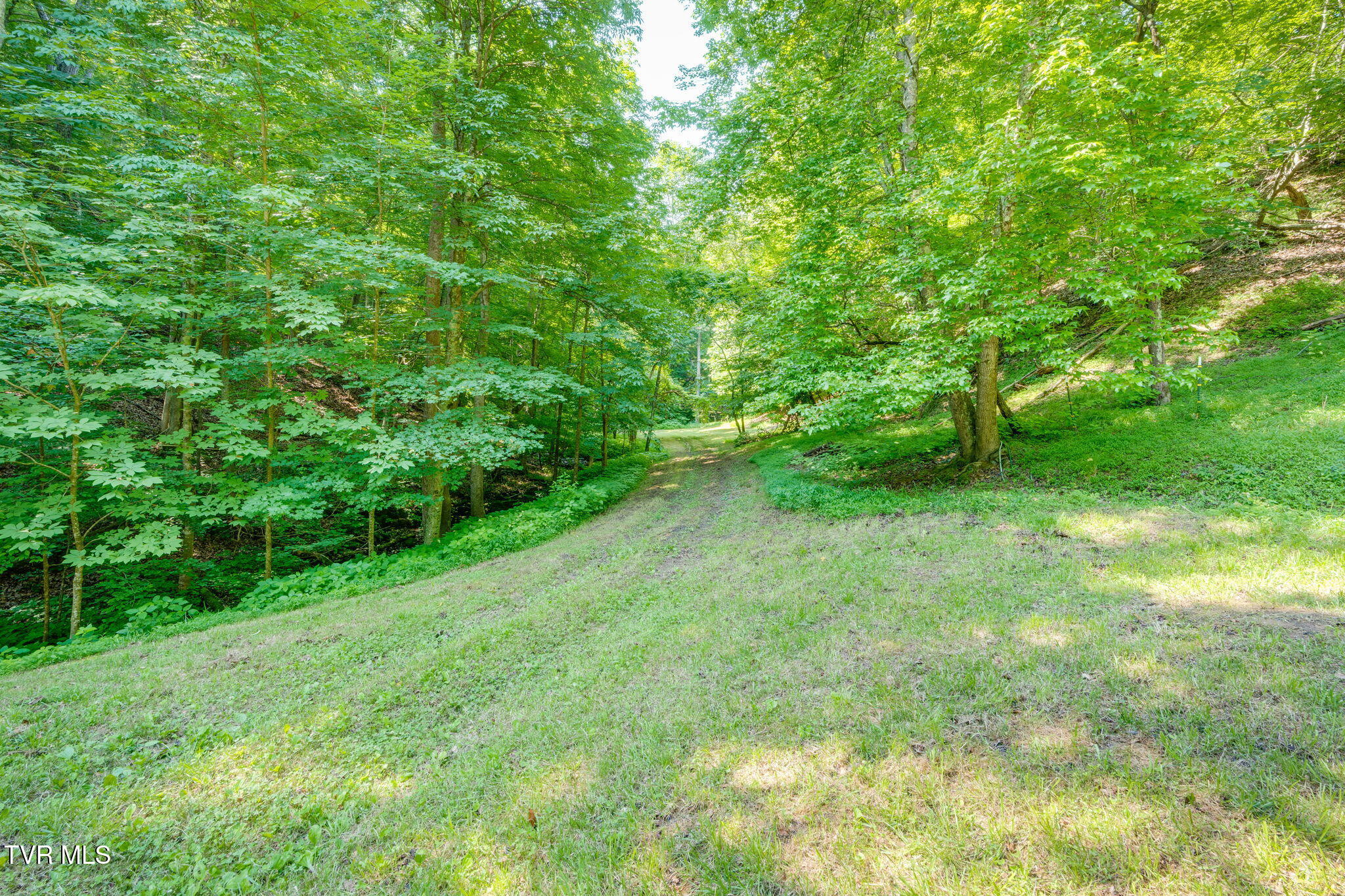 115 Bell Road Rogersville, TN 37857 - Photo 31 of 50 027