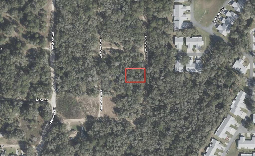 611 Pinewood Avenue Inverness, FL 34453 - Photo 2 of 4 a picture of street view