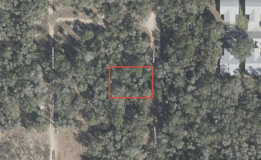 611 Pinewood Avenue Inverness, FL 34453 - Photo 3 of 4 a view of outdoor space