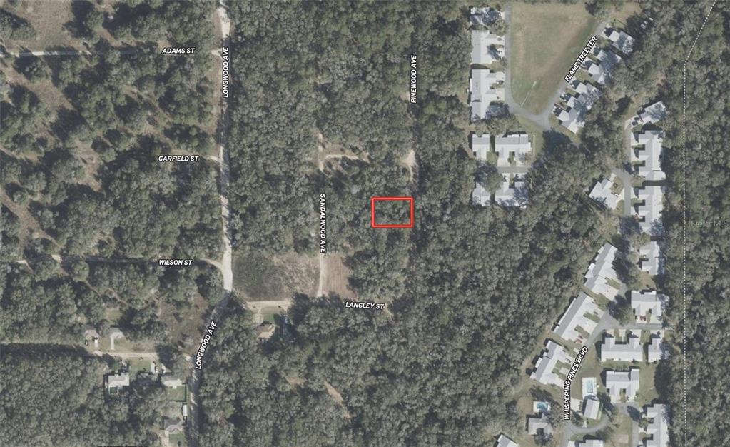 611 Pinewood Avenue Inverness, FL 34453 - Photo 4 of 4