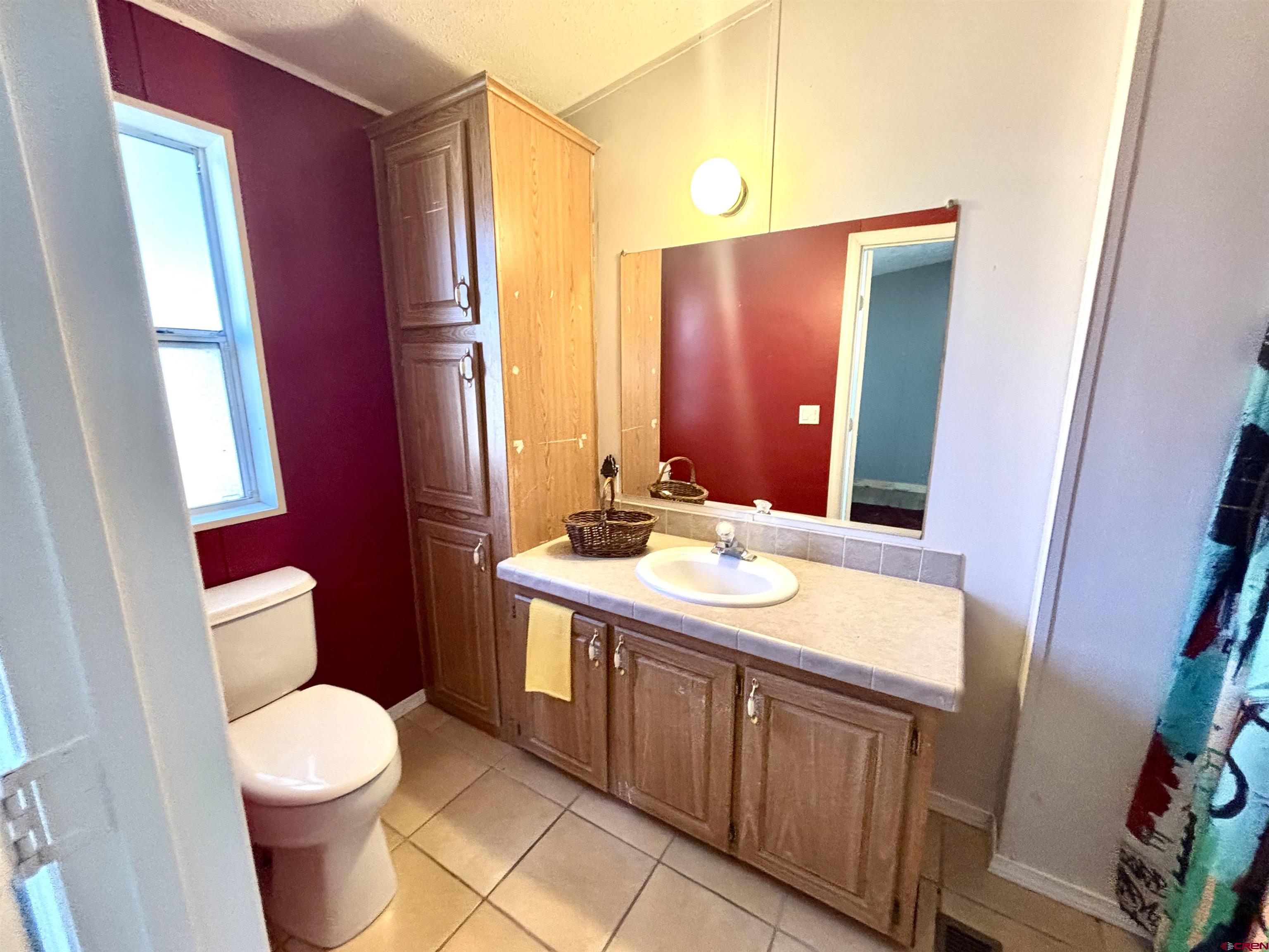 288 Animas View Drive, Unit 9 Durango, CO 81301 - Photo 15 of 16 a bathroom with a sink a toilet a mirror and vanity